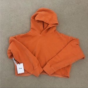 Aritzia hoodie